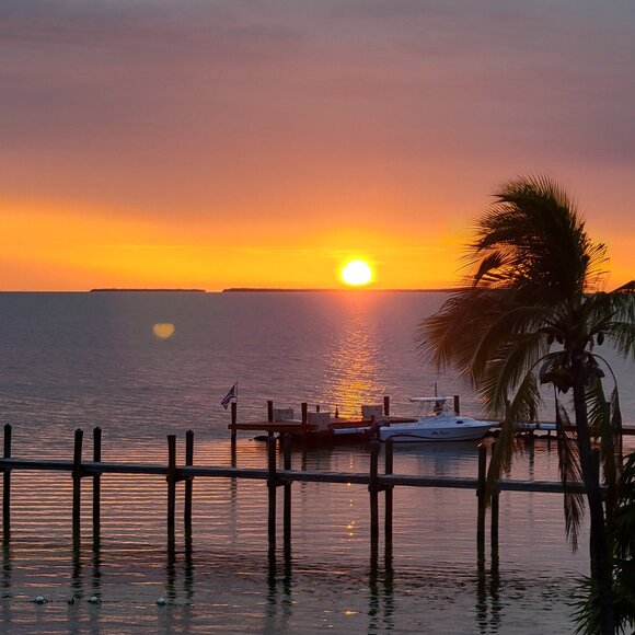 Meet your Posher, Daniela - Picture 3 of 16